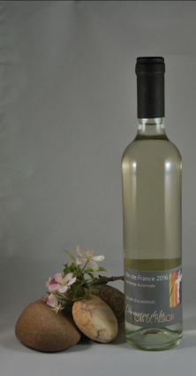 Vin de France Vendange Automnale